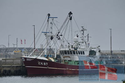 Different photos of wessels and ports
port of hvide sande
Keywords: zk 87;PIETERNELLE HELENA;trawler;IMO 9056856;hvide sande