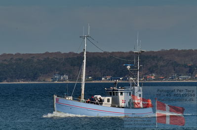 Different photos of wessels and ports
photo fro Kornborg Castle
Keywords: sandmanden;Fishing;MMSI 219000769