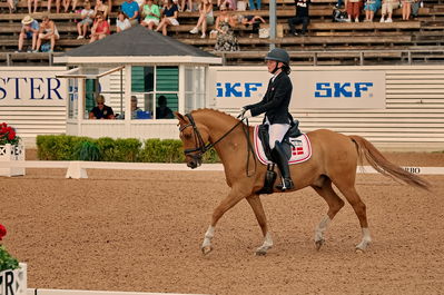 Pony kür finale
Keywords: pt;marlin björklund wolff;kavsgaards dundee