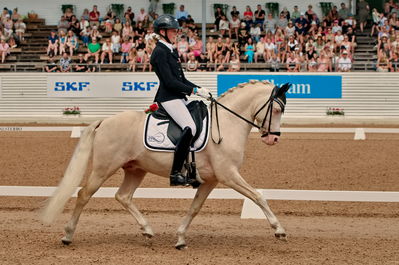 Pony kür finale
Keywords: pt;anna tiebel raben;strandgaards man gold