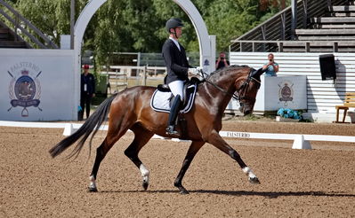 Folksam Open dressyr 5 åriga hästar
Keywords: pt;dennis kjaer;De niro Fashion m