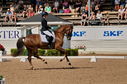 Filename=PT2_4795.jpg
Filesize=9922KiB
Dimensions=4176x2772
Date added=Jul 13, 2022 PT2_4795.jpg