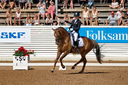 Filename=PT2_4801.jpg
Filesize=8806KiB
Dimensions=4134x2746
Date added=Jul 13, 2022 PT2_4801.jpg