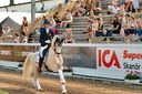 Filename=PT2_4805.jpg
Filesize=10069KiB
Dimensions=4288x2848
Date added=Jul 13, 2022 PT2_4805.jpg