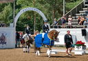 Filename=PT2_4807.jpg
Filesize=6869KiB
Dimensions=3329x2293
Date added=Jul 13, 2022 PT2_4807.jpg