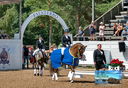 Filename=PT2_4807logo.jpg
Filesize=6947KiB
Dimensions=3329x2293
Date added=Jul 13, 2022 PT2_4807logo.jpg