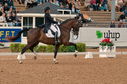 Filename=PT2_5494.jpg
Filesize=10103KiB
Dimensions=3986x2644
Date added=Jul 16, 2022 PT2_5494.jpg