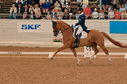 Filename=PT2_5560.jpg
Filesize=9801KiB
Dimensions=4042x2684
Date added=Jul 16, 2022 PT2_5560.jpg