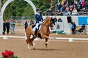Filename=PT2_5573.jpg
Filesize=11050KiB
Dimensions=4176x2772
Date added=Jul 16, 2022 PT2_5573.jpg