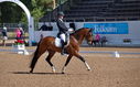 Filename=PT9_4526.jpg
Filesize=2738KiB
Dimensions=4999x3108
Date added=Jul 11, 2022 PT9_4526.jpg