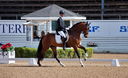 Filename=PT9_4534~0.jpg
Filesize=5693KiB
Dimensions=5000x3049
Date added=Jul 11, 2022 PT9_4534~0.jpg