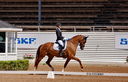 Filename=PT9_4781.jpg
Filesize=5051KiB
Dimensions=5000x3213
Date added=Jul 11, 2022 PT9_4781.jpg