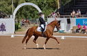 Filename=PT9_4788.jpg
Filesize=5600KiB
Dimensions=5000x3227
Date added=Jul 11, 2022 PT9_4788.jpg