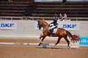 Filename=PT9_4798.jpg
Filesize=5295KiB
Dimensions=5000x3338
Date added=Jul 11, 2022 PT9_4798.jpg