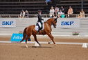 Filename=PT9_4800.jpg
Filesize=5743KiB
Dimensions=5000x3415
Date added=Jul 11, 2022 PT9_4800.jpg