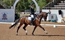 Filename=PT9_4843.jpg
Filesize=5179KiB
Dimensions=5000x3086
Date added=Jul 11, 2022 PT9_4843.jpg