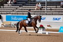Filename=PT9_4856.jpg
Filesize=5228KiB
Dimensions=5000x3337
Date added=Jul 11, 2022 PT9_4856.jpg