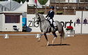 Filename=PT9_4892.jpg
Filesize=4430KiB
Dimensions=5000x3154
Date added=Jul 12, 2022 PT9_4892.jpg