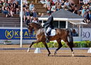 Filename=PT9_4919.jpg
Filesize=6237KiB
Dimensions=5000x3557
Date added=Jul 12, 2022 PT9_4919.jpg