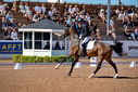 Filename=PT9_4925.jpg
Filesize=5775KiB
Dimensions=5000x3338
Date added=Jul 12, 2022 PT9_4925.jpg