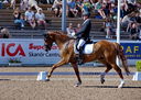 Filename=PT9_4939.jpg
Filesize=5647KiB
Dimensions=5000x3557
Date added=Jul 12, 2022 PT9_4939.jpg