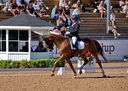 Filename=PT9_4942.jpg
Filesize=6292KiB
Dimensions=5000x3557
Date added=Jul 12, 2022 PT9_4942.jpg