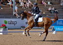 Filename=PT9_4943.jpg
Filesize=6033KiB
Dimensions=5000x3581
Date added=Jul 12, 2022 PT9_4943.jpg