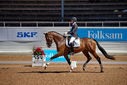 Filename=PT9_4957.jpg
Filesize=5233KiB
Dimensions=5000x3338
Date added=Jul 12, 2022 PT9_4957.jpg