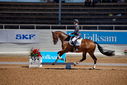 Filename=PT9_4961.jpg
Filesize=4665KiB
Dimensions=5000x3338
Date added=Jul 12, 2022 PT9_4961.jpg