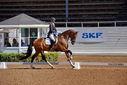 Filename=PT9_4962.jpg
Filesize=5982KiB
Dimensions=5000x3336
Date added=Jul 12, 2022 PT9_4962.jpg