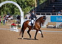 Filename=PT9_4970.jpg
Filesize=5989KiB
Dimensions=5000x3581
Date added=Jul 12, 2022 PT9_4970.jpg