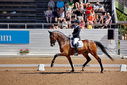 Filename=PT9_4982~0.jpg
Filesize=6079KiB
Dimensions=5000x3338
Date added=Jul 12, 2022 PT9_4982~0.jpg