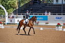 Filename=PT9_4999.jpg
Filesize=5787KiB
Dimensions=5000x3338
Date added=Jul 12, 2022 PT9_4999.jpg
