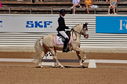 Filename=PT9_5024.jpg
Filesize=4135KiB
Dimensions=5000x3313
Date added=Jul 12, 2022 PT9_5024.jpg