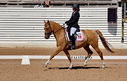Filename=PT9_5043.jpg
Filesize=4493KiB
Dimensions=5000x3195
Date added=Jul 12, 2022 PT9_5043.jpg
