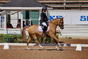 Filename=PT9_5051.jpg
Filesize=5823KiB
Dimensions=5000x3350
Date added=Jul 12, 2022 PT9_5051.jpg