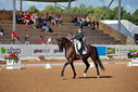 Filename=PT9_5092~0.jpg
Filesize=5244KiB
Dimensions=5000x3338
Date added=Jul 14, 2022 PT9_5092~0.jpg