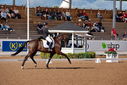 Filename=PT9_5096.jpg
Filesize=5693KiB
Dimensions=5000x3337
Date added=Jul 14, 2022 PT9_5096.jpg