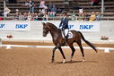Filename=PT9_5179.jpg
Filesize=5087KiB
Dimensions=5000x3338
Date added=Jul 14, 2022 PT9_5179.jpg