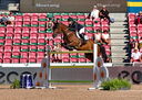 Filename=PT9_0908.jpg
Filesize=7829KiB
Dimensions=3442x2453
Date added=Aug 11, 2022 PT9_0908.jpg