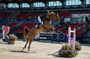 Filename=_DSC0126.jpg
Filesize=2550KiB
Dimensions=4999x3324
Date added=Aug 12, 2022 _DSC0126.jpg