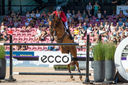 Filename=_DSC0296.jpg
Filesize=2451KiB
Dimensions=4999x3324
Date added=Aug 10, 2022 _DSC0296.jpg