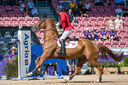 Filename=_DSC0308.jpg
Filesize=9405KiB
Dimensions=4915x3268
Date added=Aug 10, 2022 _DSC0308.jpg