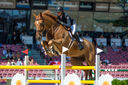 Filename=_DSC0328.jpg
Filesize=1775KiB
Dimensions=4999x3324
Date added=Aug 10, 2022 _DSC0328.jpg