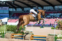 Filename=_DSC0338.jpg
Filesize=2700KiB
Dimensions=5000x3324
Date added=Aug 10, 2022 _DSC0338.jpg