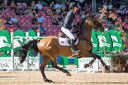 Filename=_DSC0705.jpg
Filesize=10319KiB
Dimensions=4949x3291
Date added=Aug 10, 2022 _DSC0705.jpg