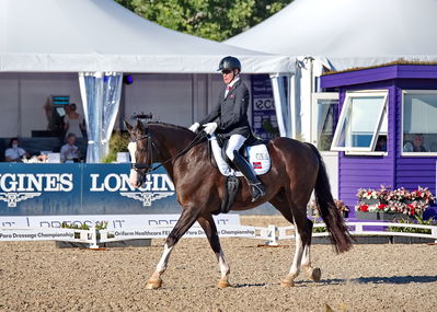 para dressage
CH-M-P Herning 2022 - Para Dressage
Team Grade IV
Keywords: aladdin;jens lasse dokkan;pt