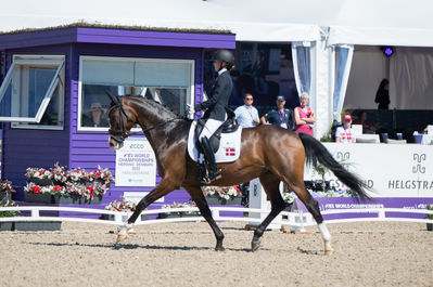 Para Dressage
Team Grade III
Keywords: Karla Dyhm-Junge;Miss Daisy;cp