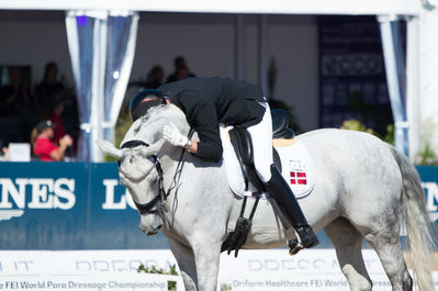 Para Dressage
Grade III
Keywords: Jolene Hill;Tobias Thorning Joergensen;cp