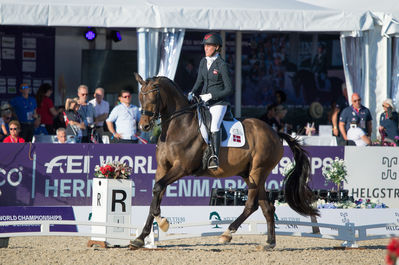 Para Dressage
Grade V
Keywords: moromax;nicole johnsen;cp